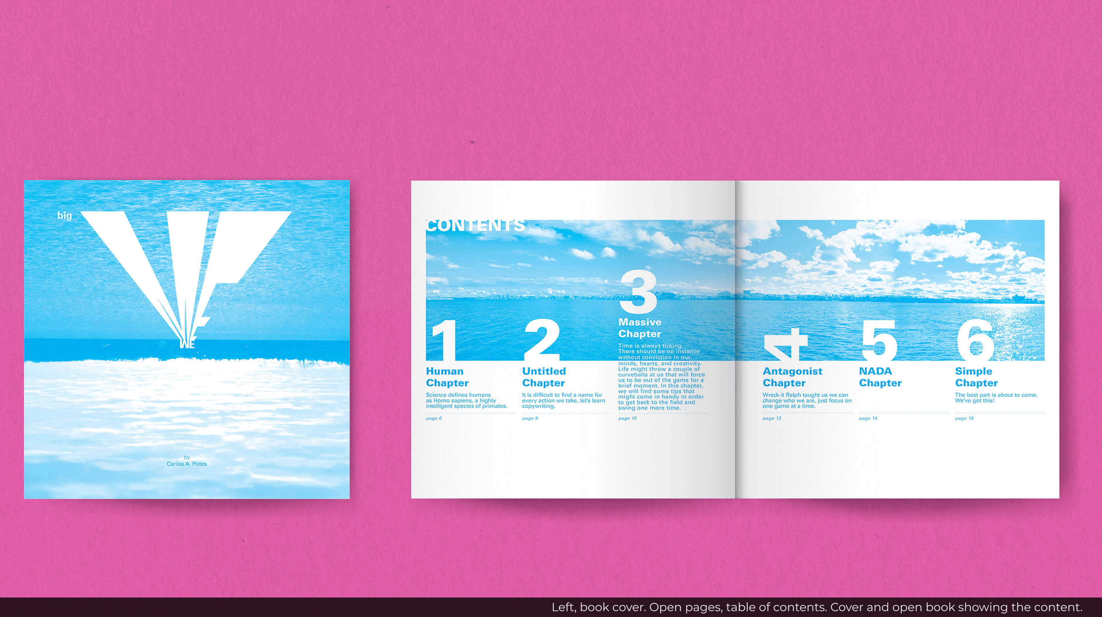 carlos project image 4